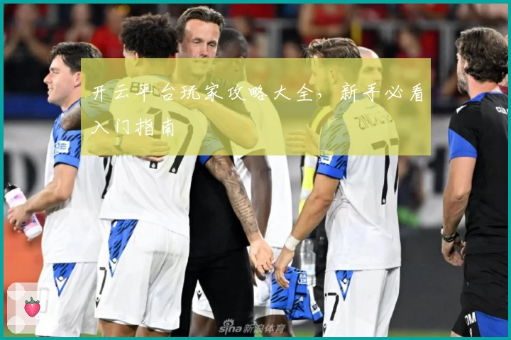 开云平台玩家攻略大全，新手必看入门指南
