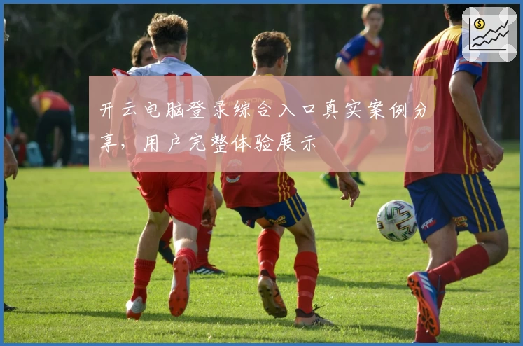开云电脑登录综合入口真实案例分享，用户完整体验展示