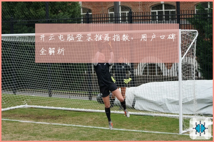 开云电脑登录推荐指数，用户口碑全解析