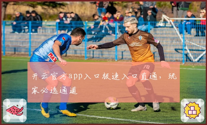 开云官方app入口极速入口直通，玩家必选通道