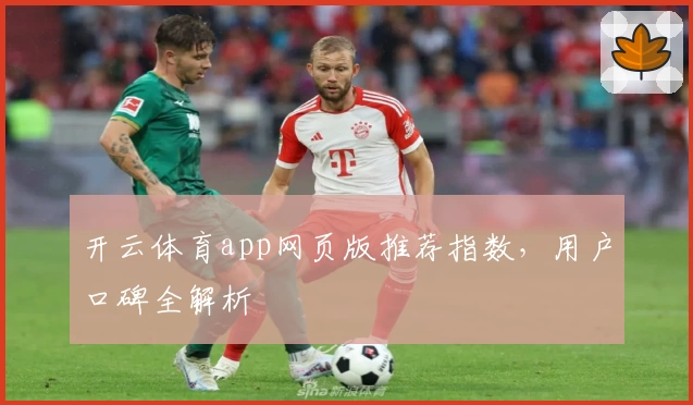 开云体育app网页版推荐指数，用户口碑全解析