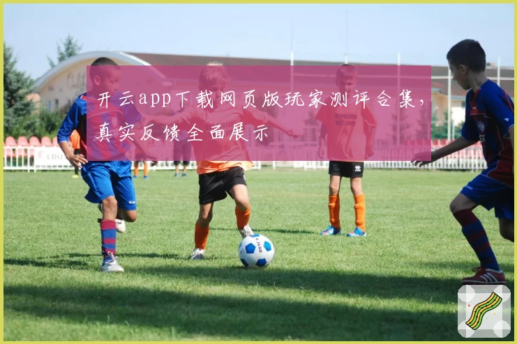 开云app下载网页版玩家测评合集，真实反馈全面展示