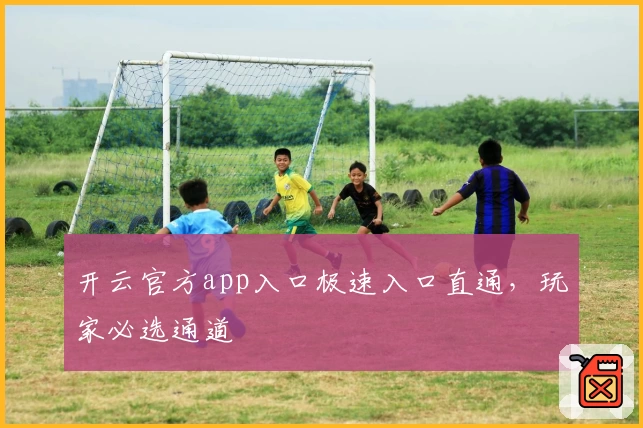 开云官方app入口极速入口直通，玩家必选通道