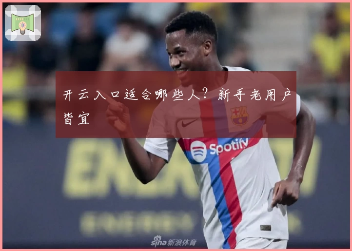 开云入口适合哪些人？新手老用户皆宜