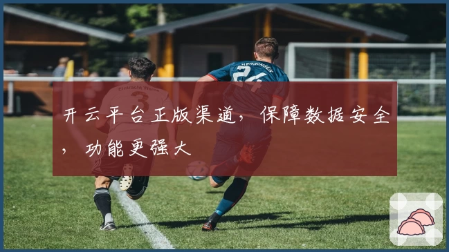 开云平台正版渠道，保障数据安全，功能更强大