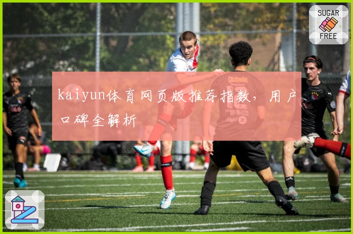 kaiyun体育网页版推荐指数，用户口碑全解析