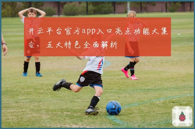 开云平台官方app入口亮点功能大集合,五大特色全面解析